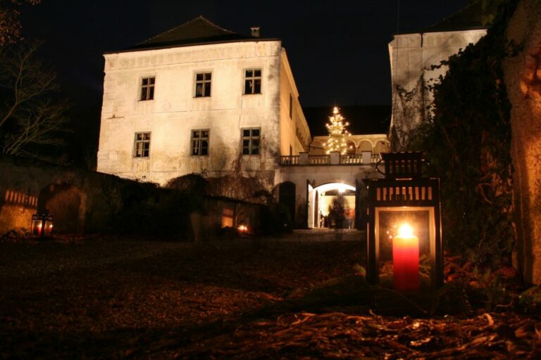 bild27-1030×687 (1)